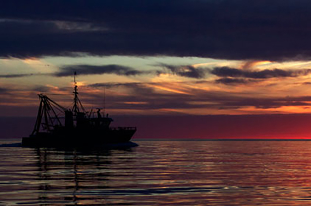 Spencer Gulf Prawn Fishery trawler at sunrise